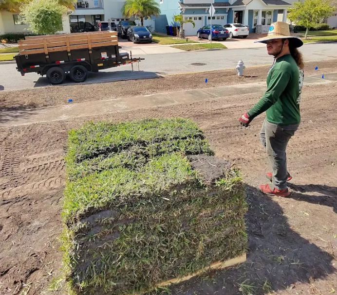 Best price sod installers in Orlando, FL