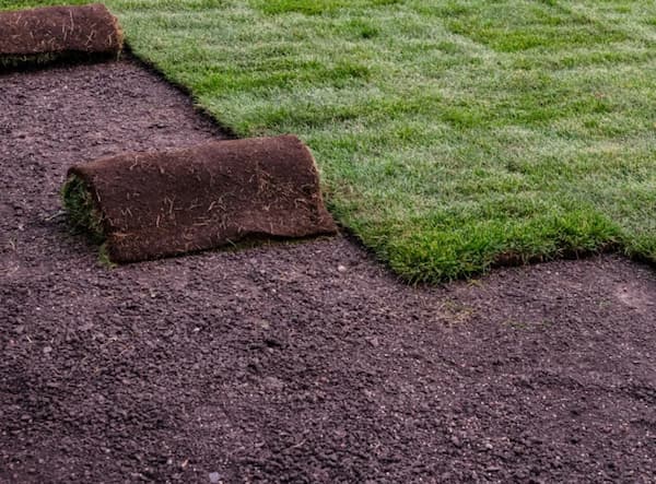 Top rated sod installers services in Orlando, FL