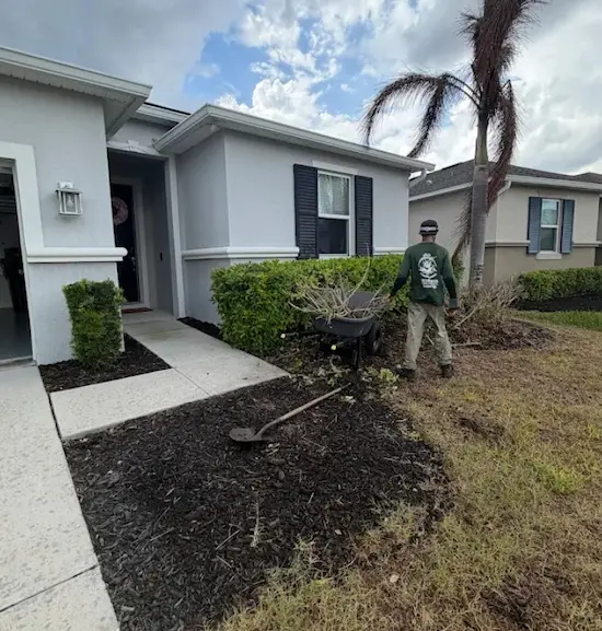 Landscaping yard cleanup services in Orlando, FL