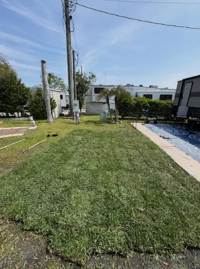 Sod installation in St Cloud, FL