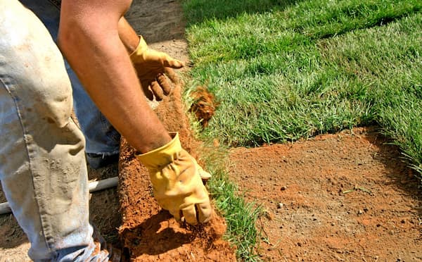 Sod installation in Orlando, FL